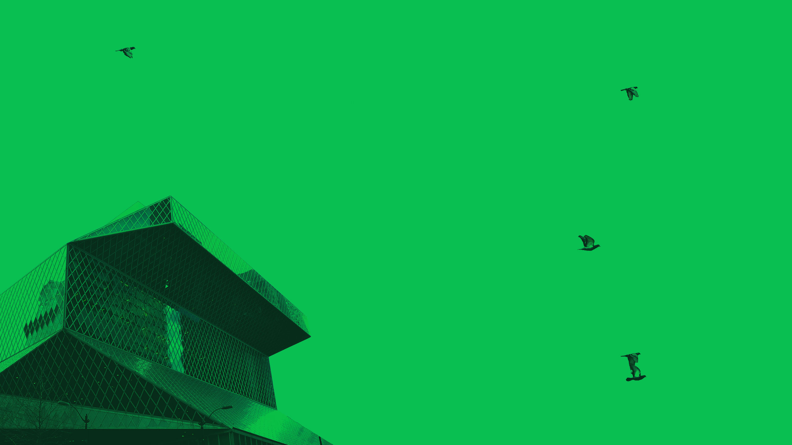 Seattle Urban Honey - Beekeeper's Journal